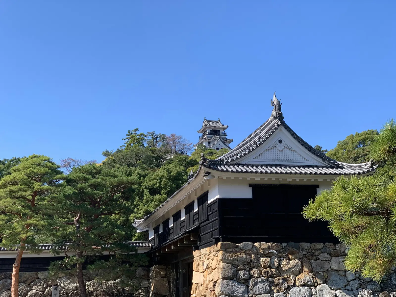 Kochi