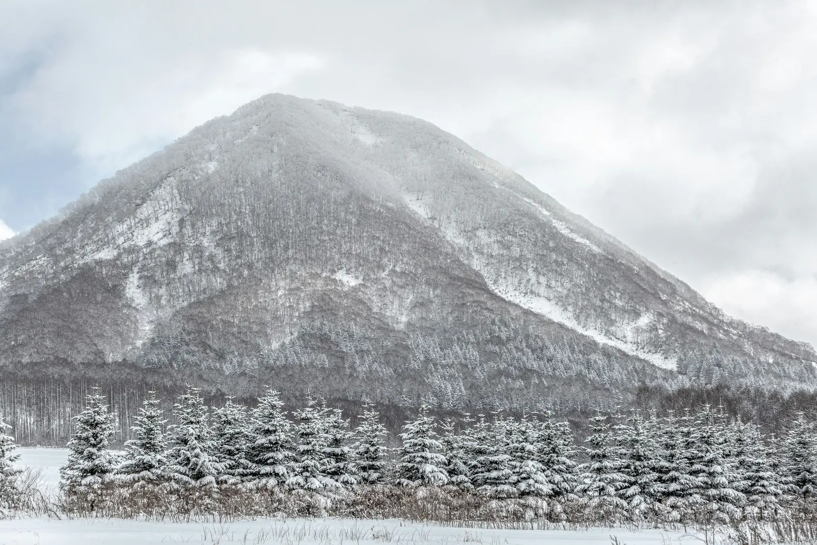 Niseko