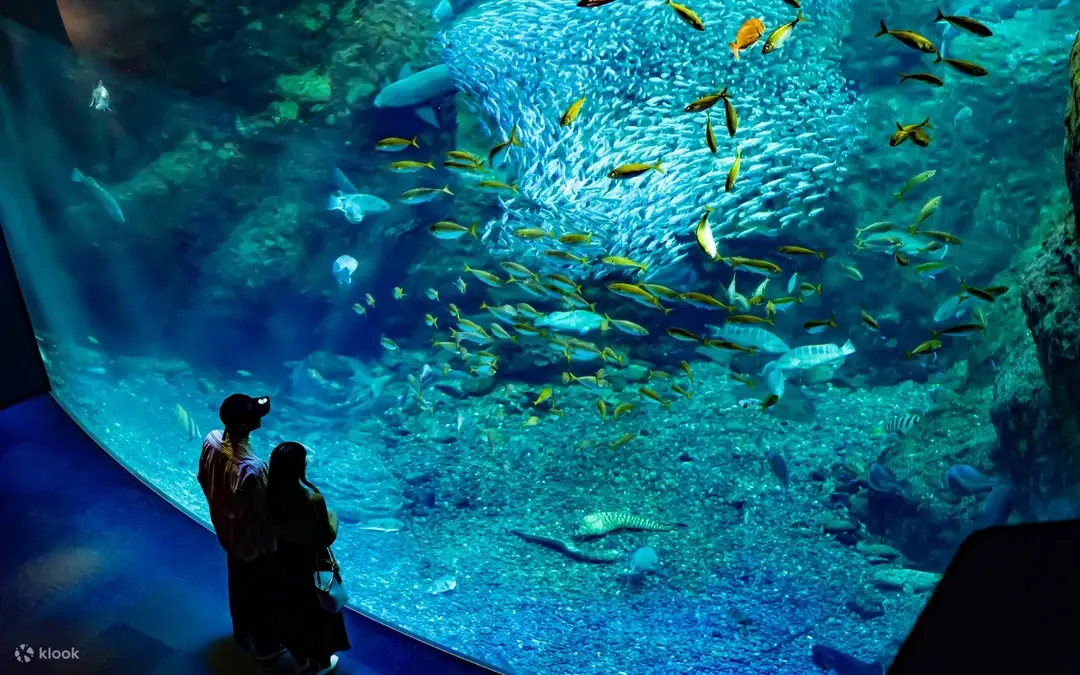 Acuario de Enoshima — Kamakura