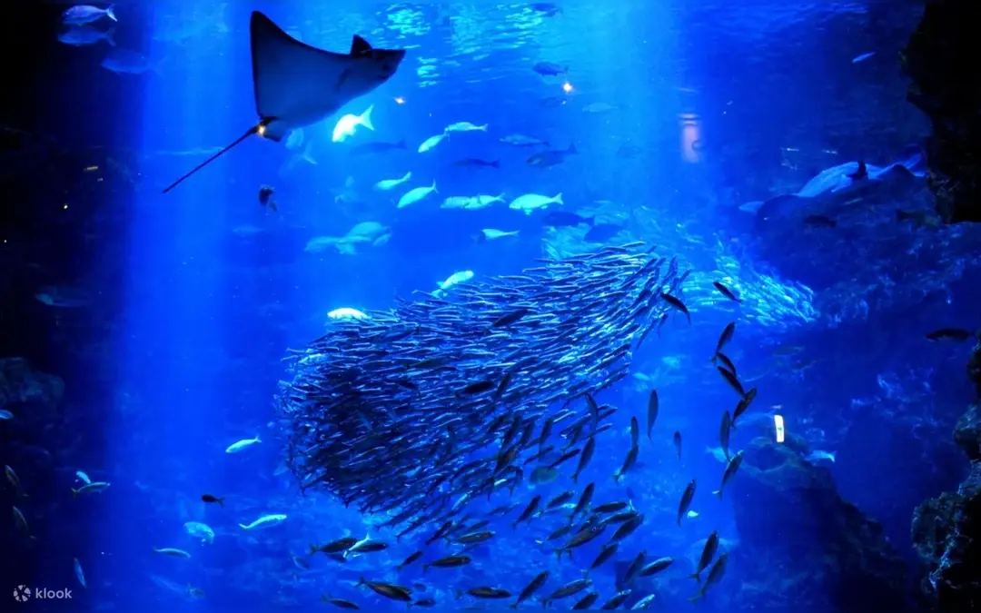 Acuario de Kioto — Kioto