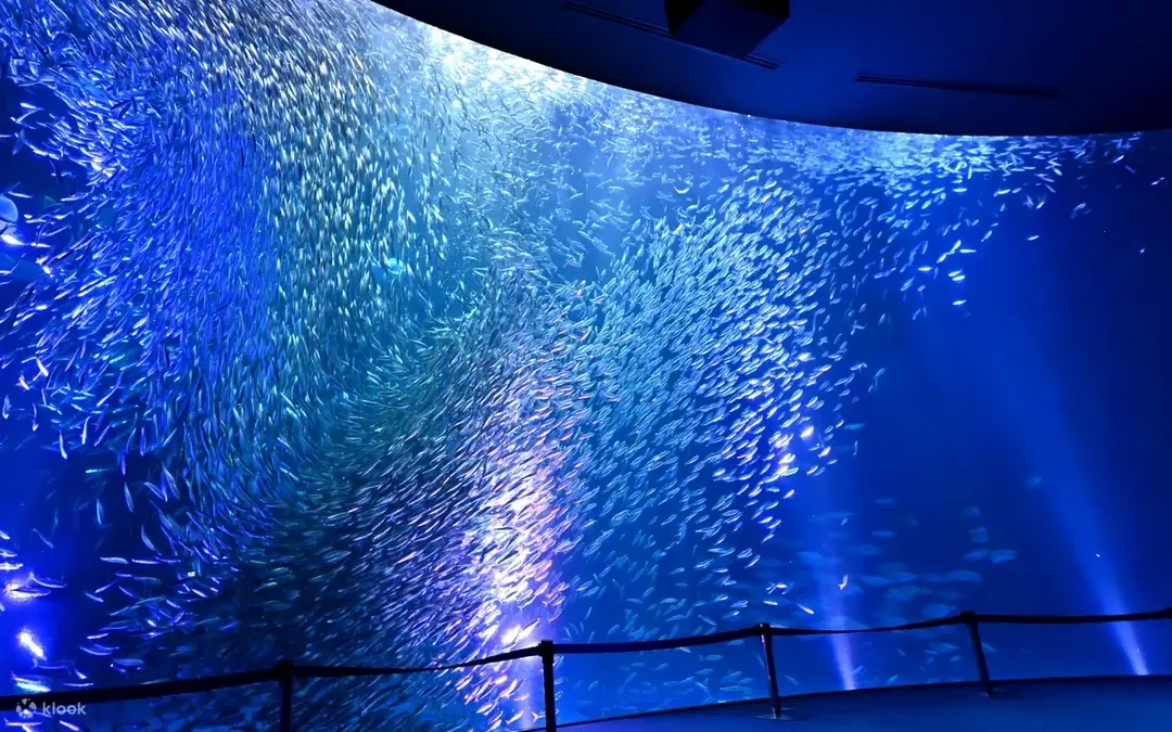 Acuario del Puerto de Nagoya — Nagoya
