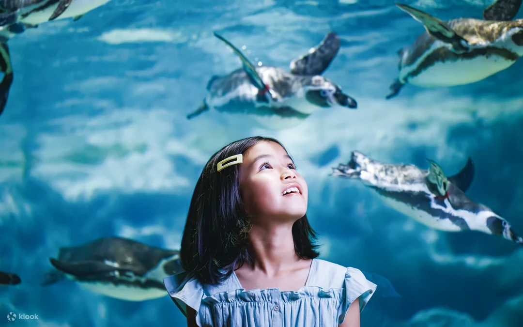 Acuario DMM Kariyushi — Naha