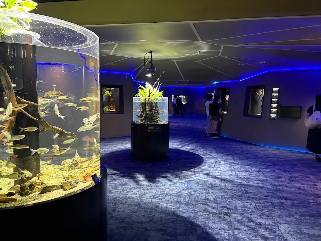 Acuario Kawasui de Kawasaki — Tokio