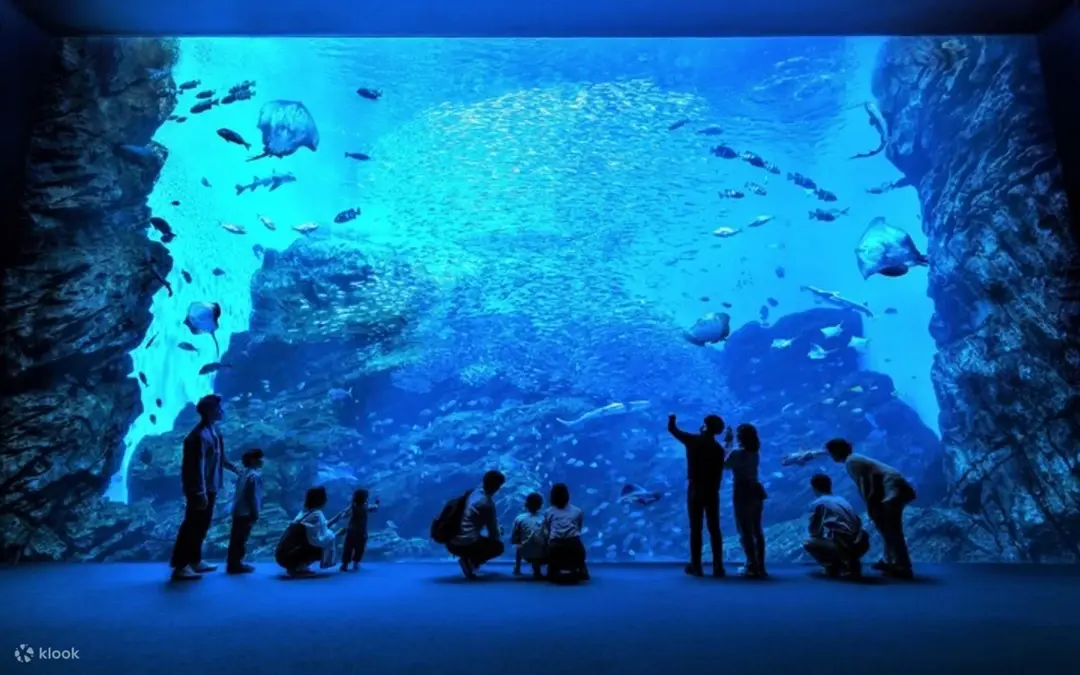 Acuario Sendai Umino-Mori — Sendai