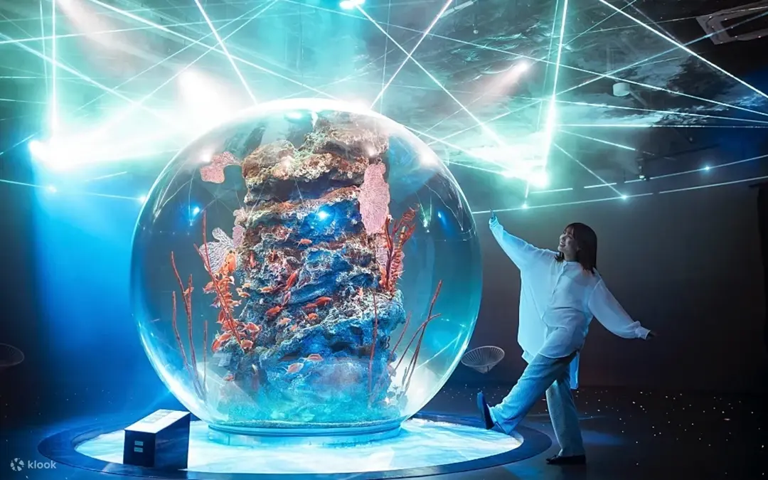 átoa, acuario y arte de Kobe — Kobe