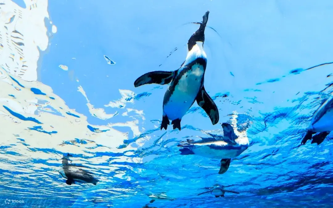 Sunshine Aquarium — Tokio