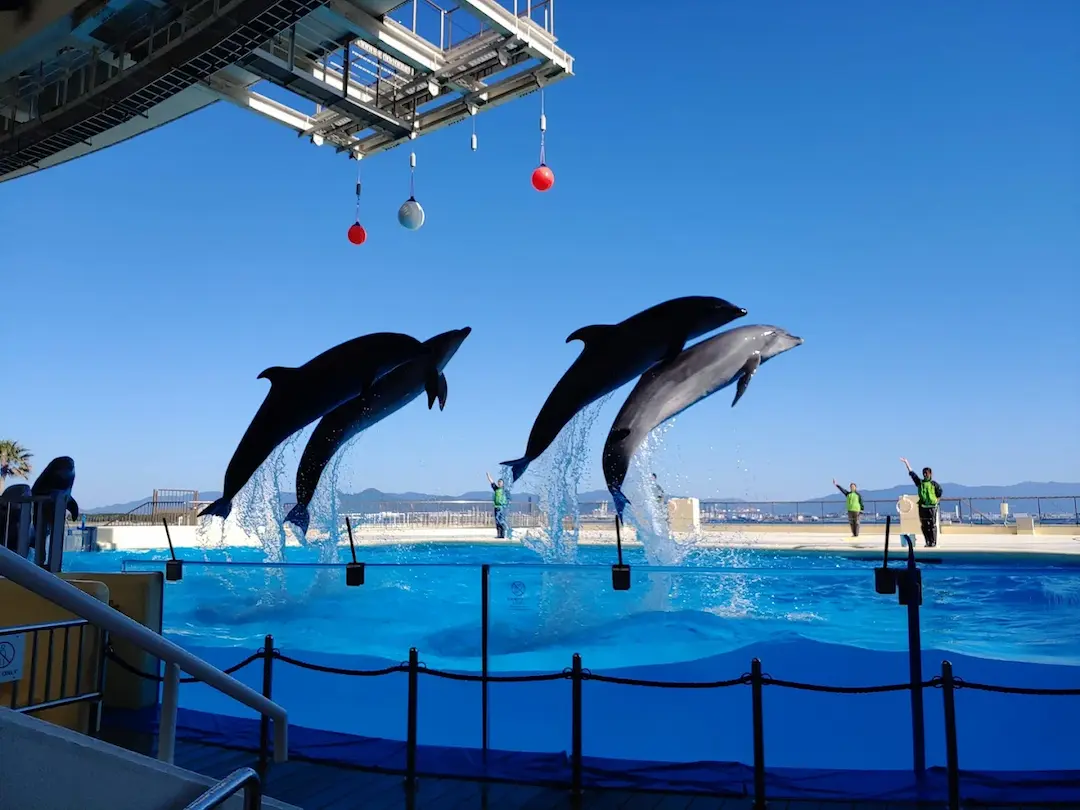 Marine World Uminonakamichi — Fukuoka