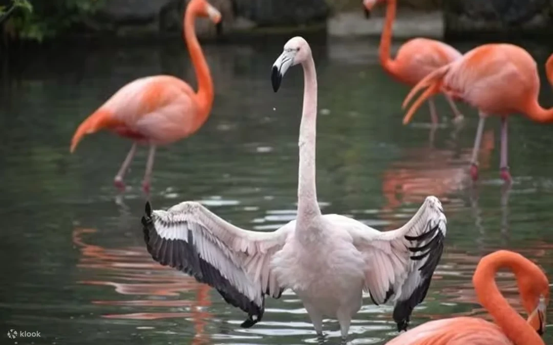 Zoo y Jardín Botánico de Higashiyama (Nagoya) — Nagoya