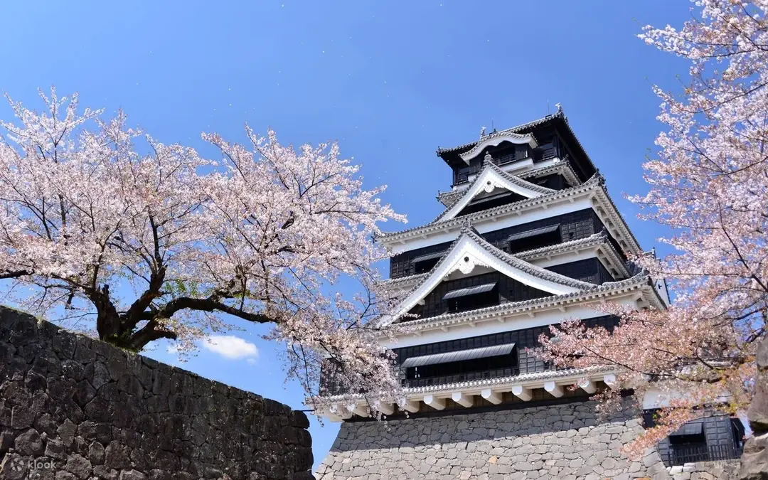 Castillo de Kumamoto — Kumamoto