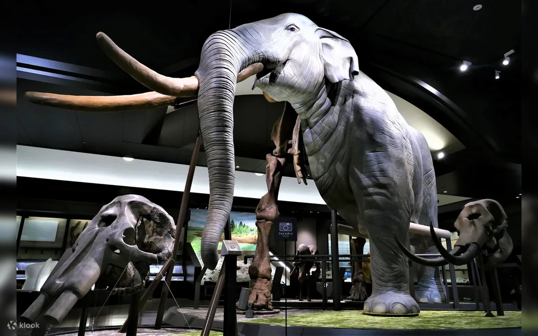 Museo del Lago Biwa