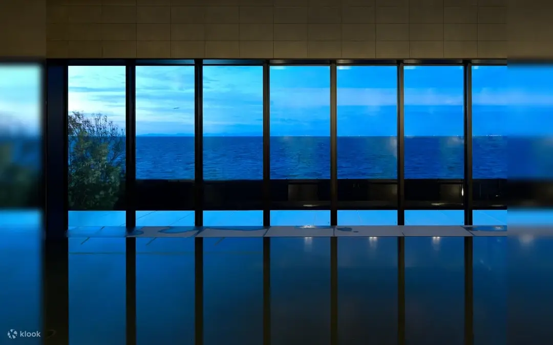 Senshu no Yu (onsen junto al aeropuerto de Kansai) — Osaka