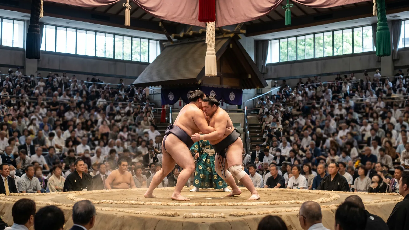 Cómo ver sumo en Japón: torneos, entradas y consejos