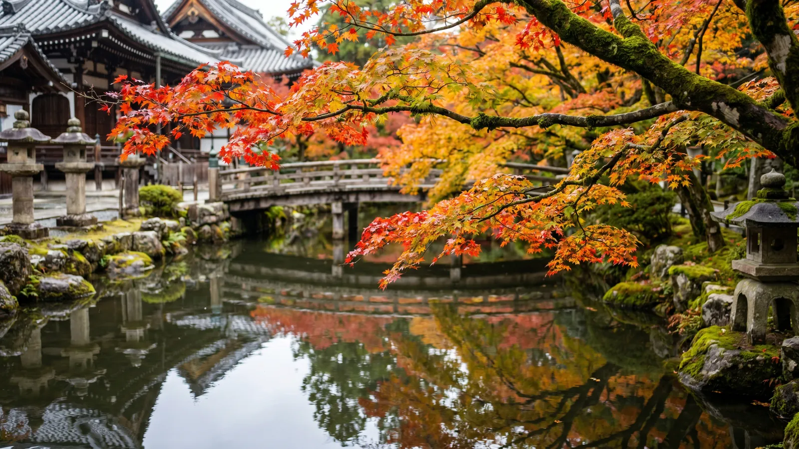8 razones para viajar a Japón en otoño: momiji y más