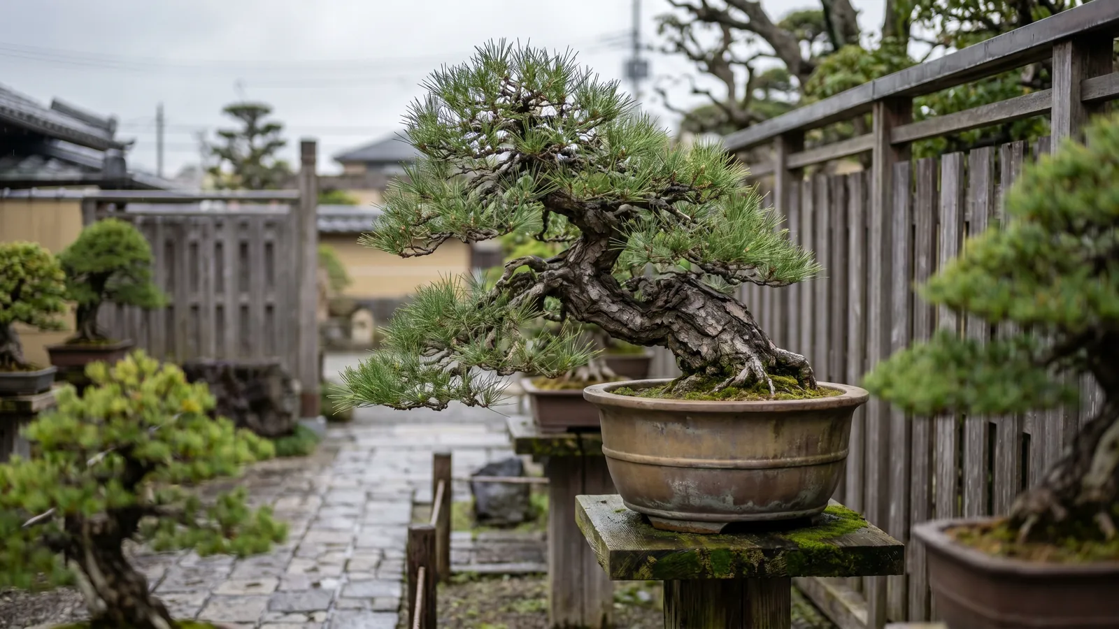 El barrio de los bonsáis de Omiya, en Saitama