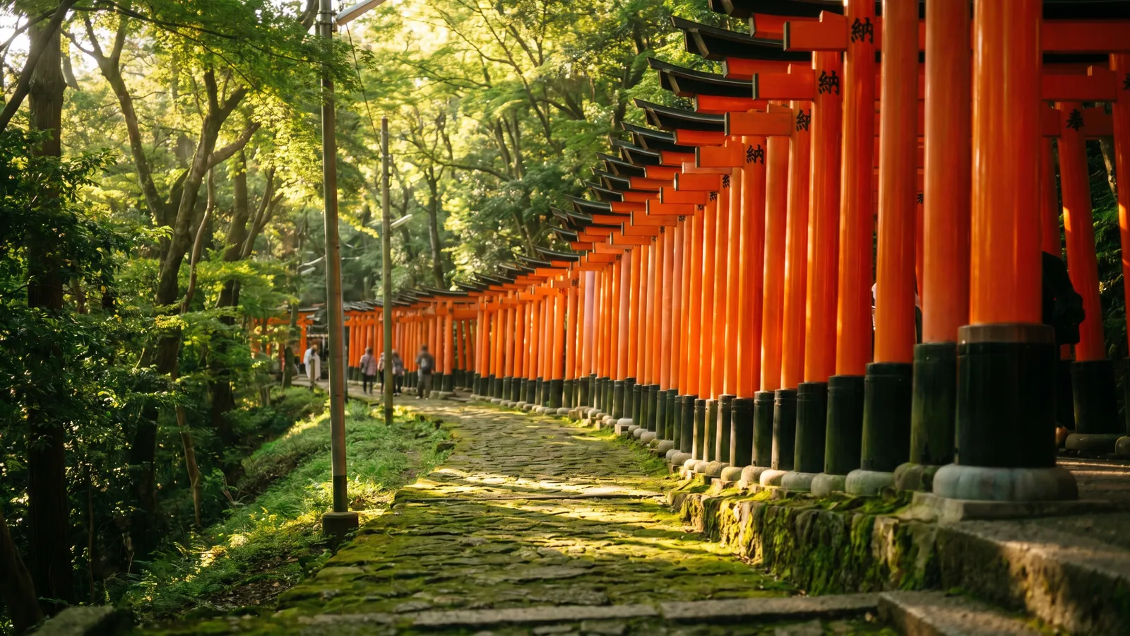 Fushimi Inari en Kioto: guía completa de los 10.000 torii