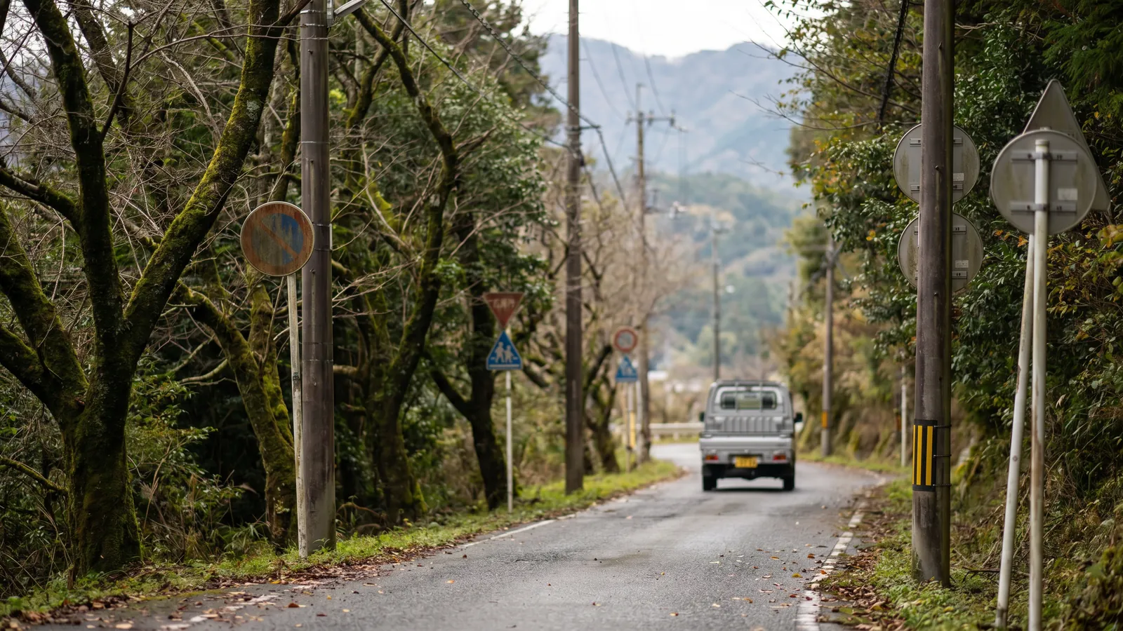Alquilar coche en Japón: guía completa para conducir